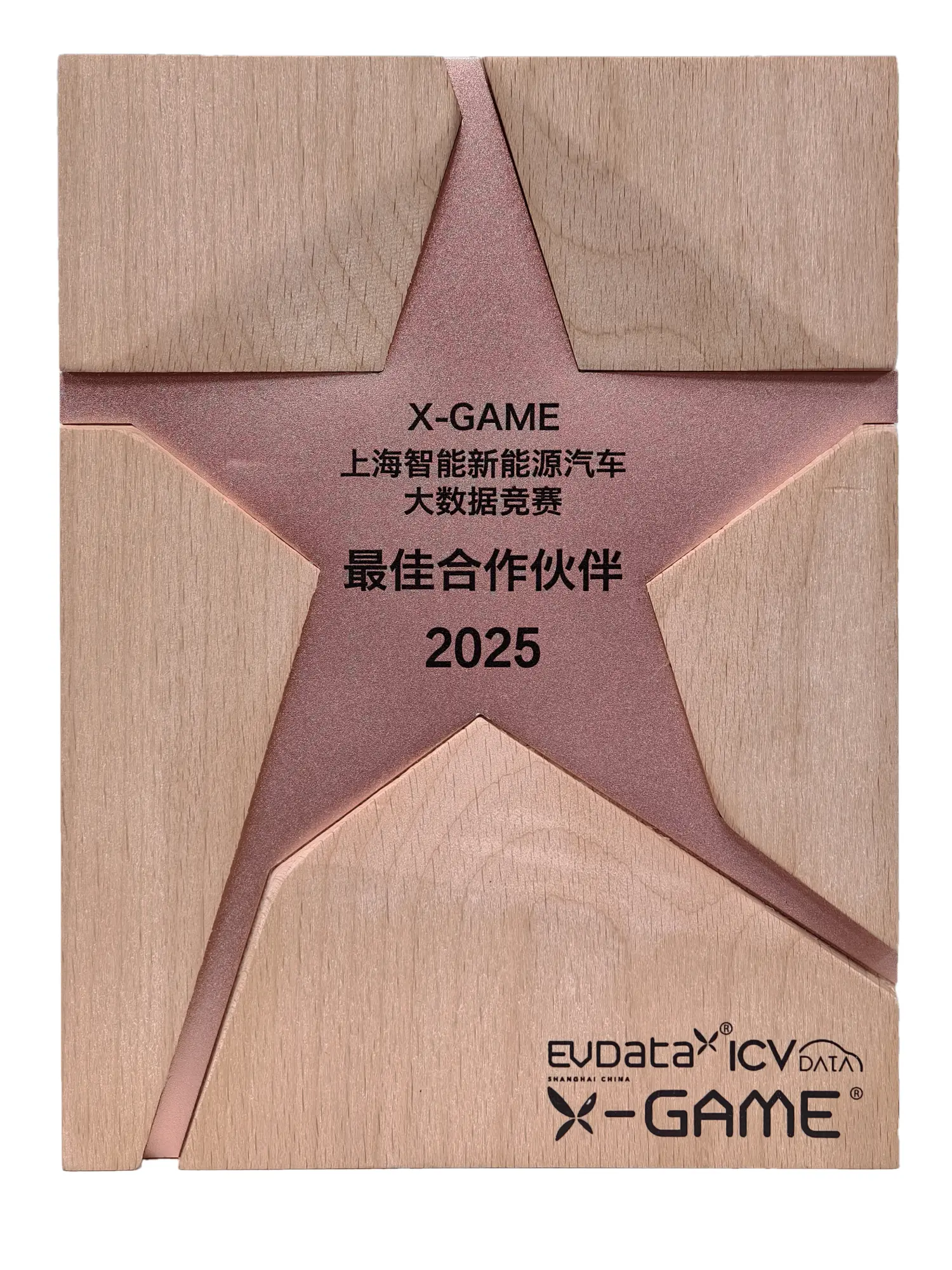 上海智能新能源汽车大数据竞赛最佳合作伙伴